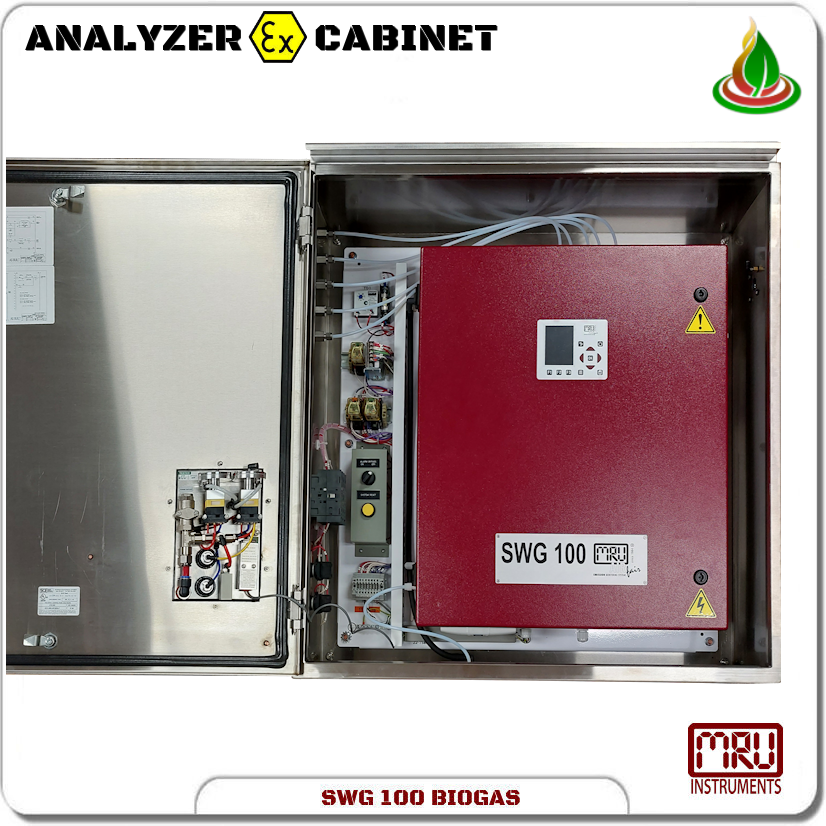 SWG 100 BIOGAS EX Cabinet 01